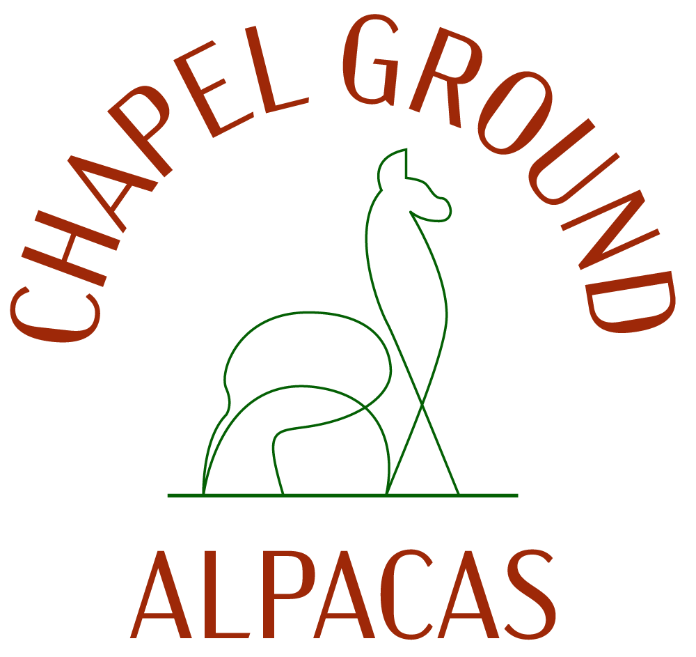 Chapel Ground Alpacas