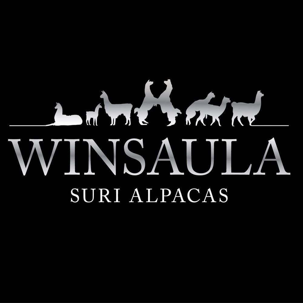 WinsaulaLogo